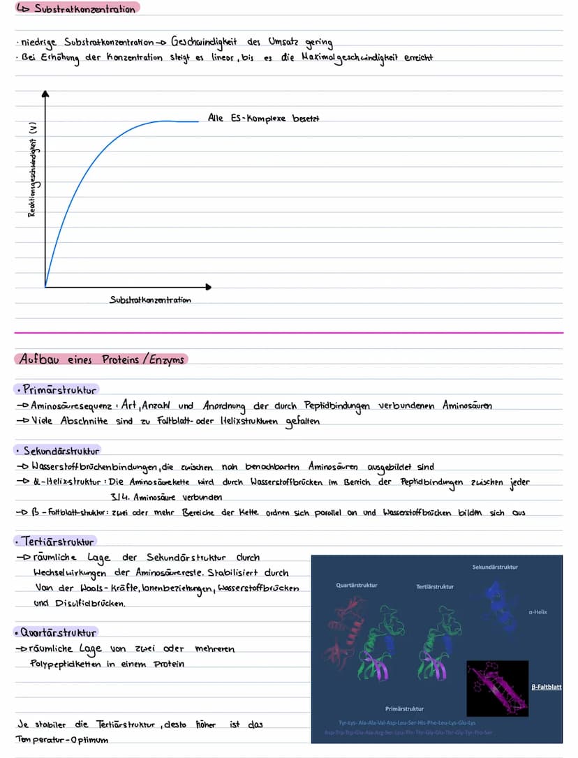 Lernzettel für
Enzymatik
1. Was sind Enzyme ?
→→Biokatalysatoren
die Bio Klausur am
→ Setzen Aktivierungsenergie für biochemische Reaktionen