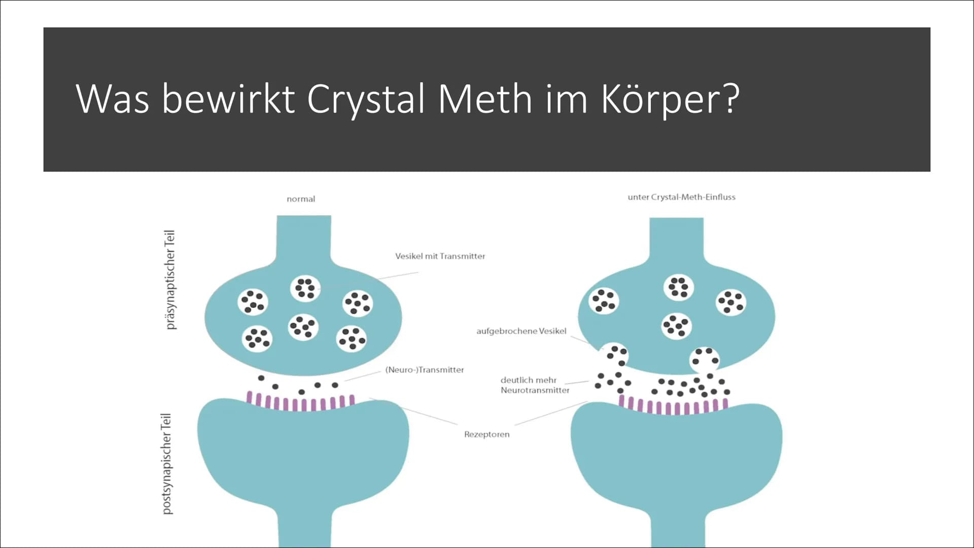 Crystal Meth
Von Viola Neumann ●
Inhalt
Was ist Crystal Meth
Herstellung
Was bewirkt Crystal Meth im Körper?
Wirkung von Crystal Meth währen