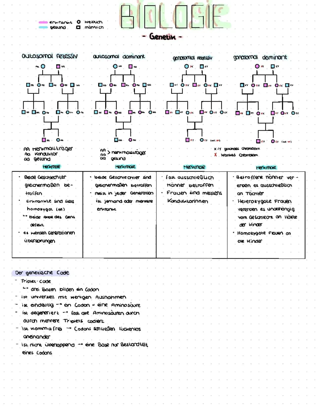 Stammbaumanalyse Biologie