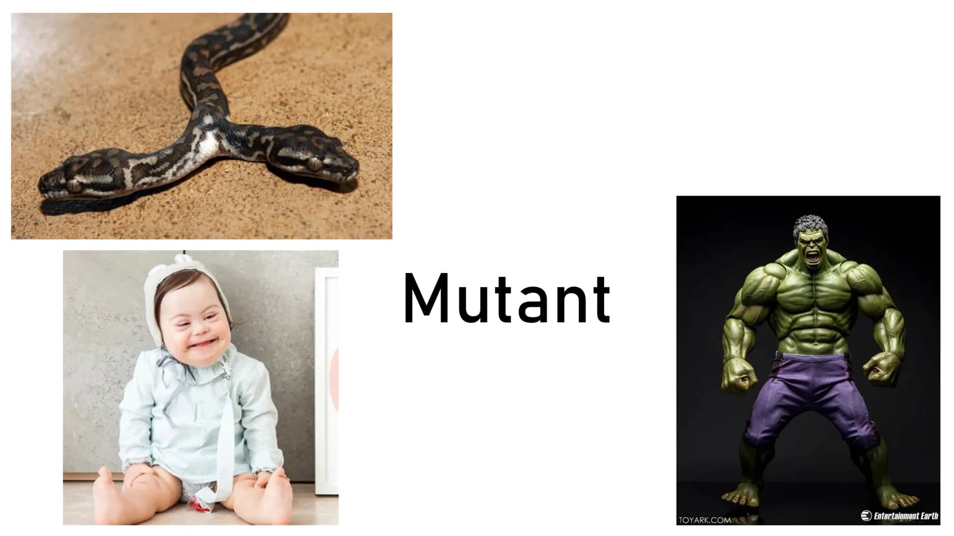 Mutant
TOYARK.COM
Entertainment Earth Tamara Fuhr
Genmutation
GFS Bio LK 11/1
17.01.2020 ➤ Definition von Genmutation
Genommutation
Gliederu