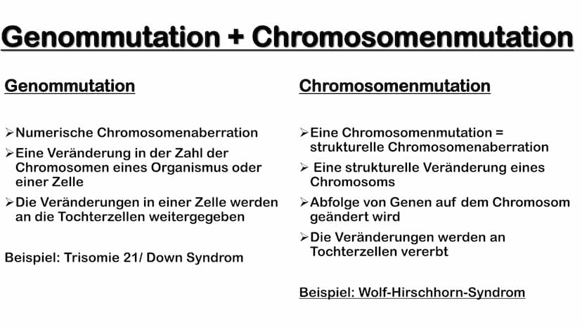 Mutant
TOYARK.COM
Entertainment Earth Tamara Fuhr
Genmutation
GFS Bio LK 11/1
17.01.2020 ➤ Definition von Genmutation
Genommutation
Gliederu