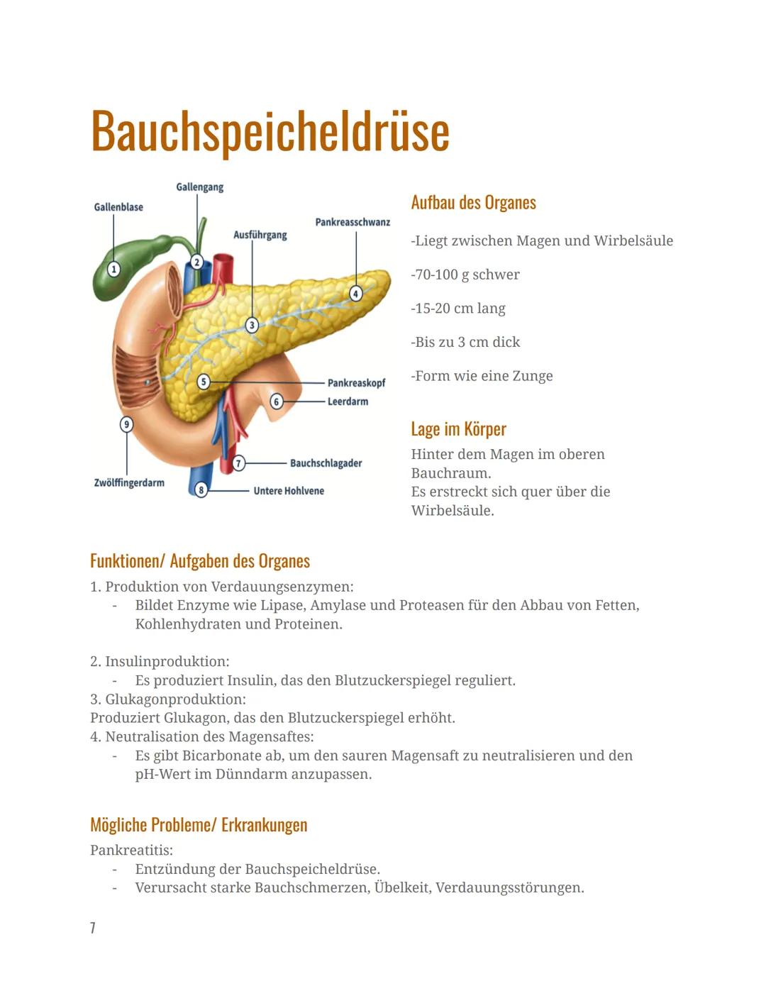 Verdauungsorgane
Mund
Speiseröhre
Magen
Dünndarm
Dickdarm
Mastdarm
Verdauungsorgane
Informationshefter zu den folgenden
After
Leber
Gallenbl