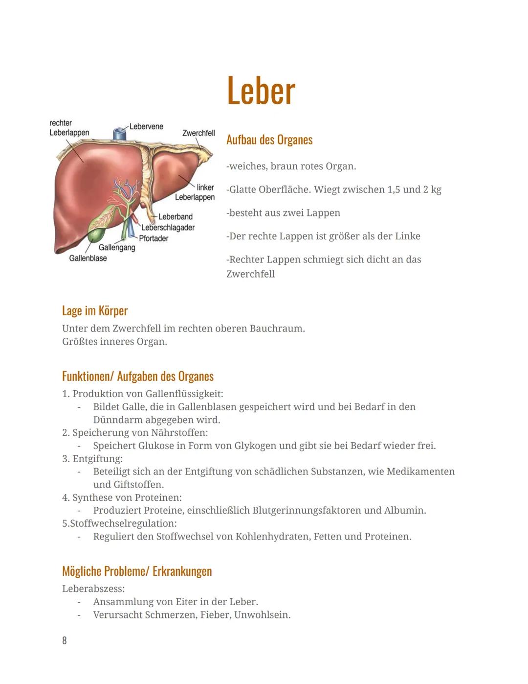 Verdauungsorgane
Mund
Speiseröhre
Magen
Dünndarm
Dickdarm
Mastdarm
Verdauungsorgane
Informationshefter zu den folgenden
After
Leber
Gallenbl