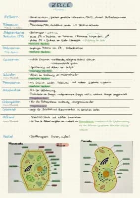 Know Zellbiologie  thumbnail