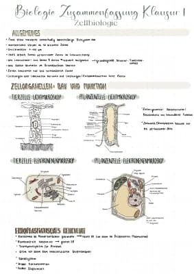 Know Zellbiologie Zusammenfassung  thumbnail