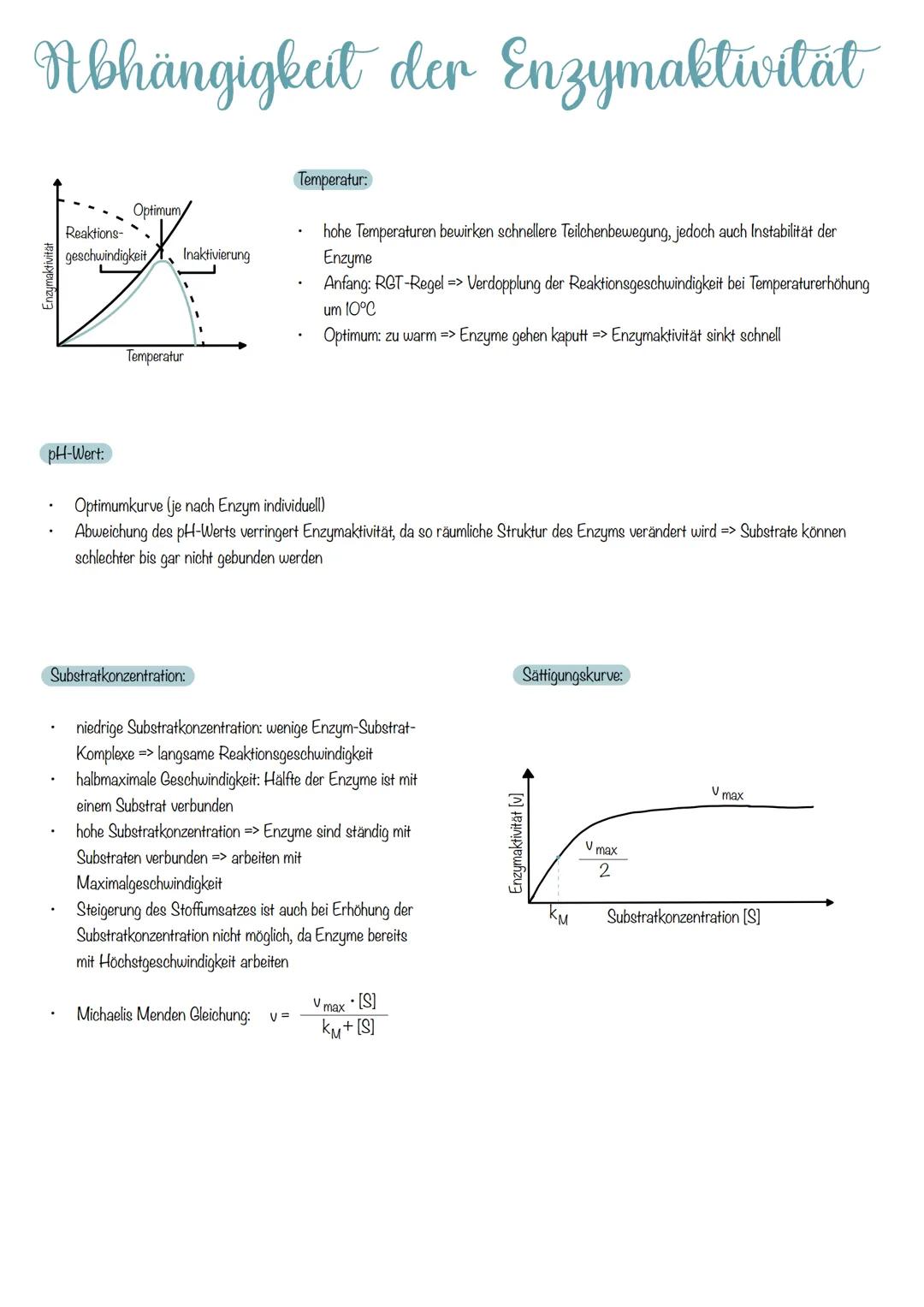 # Abhängigkeit der Enzymaktivität

Temperatur:

Enzymaktivitat
Reaktions-
geschwindigkeit

pH-Wert:

Optimum/
Inaktivierung

hohe Temperatur