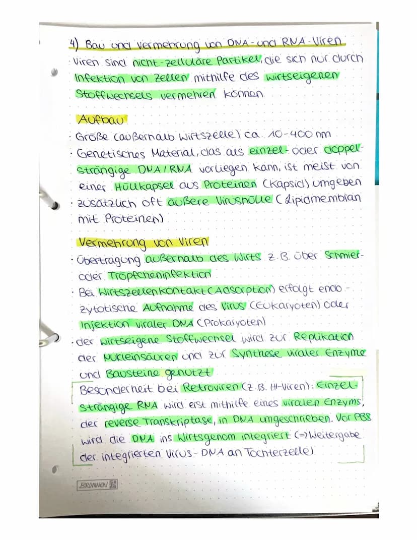 VON DER DNA ZUM PROTEIN
4) Aufbau von Nukleinsäuren
Nukleotide
Einheit aus Pentose (Zucker mit 5 C-Atomen),
Phosphatrest cam c5!), organisch