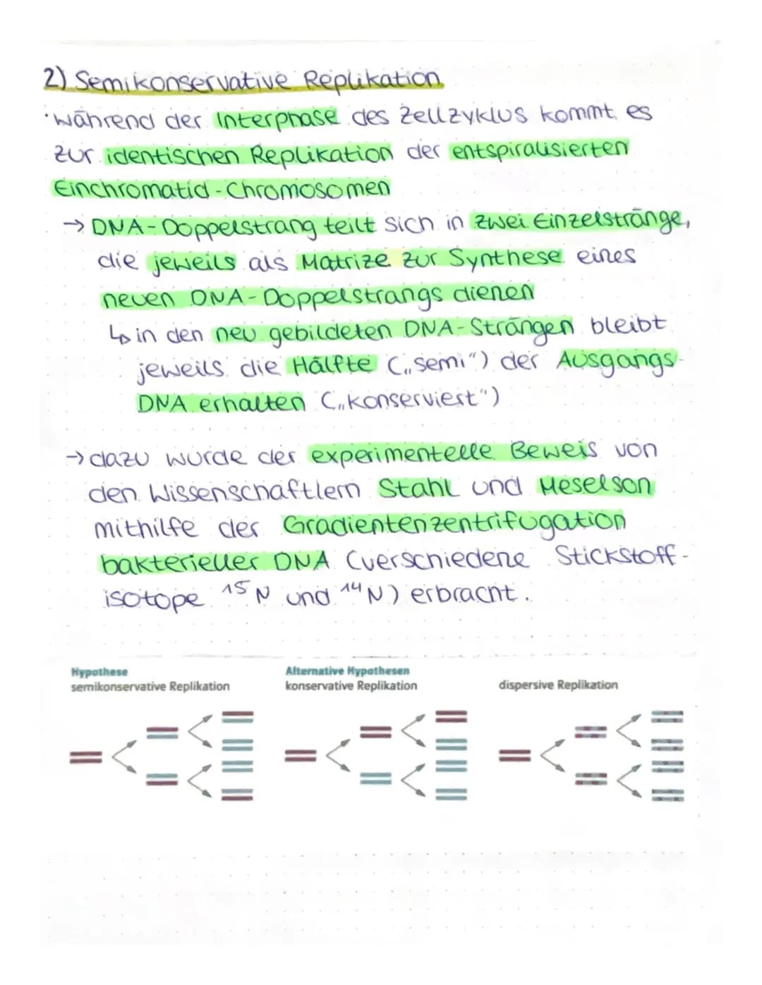VON DER DNA ZUM PROTEIN
4) Aufbau von Nukleinsäuren
Nukleotide
Einheit aus Pentose (Zucker mit 5 C-Atomen),
Phosphatrest cam c5!), organisch