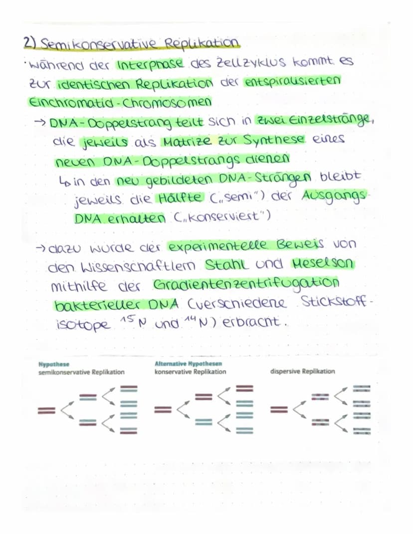 VON DER DNA ZUM PROTEIN
4) Aufbau von Nukleinsäuren
Nukleotide
Einheit aus Pentose (Zucker mit 5 C-Atomen),
Phosphatrest cam c5!), organisch