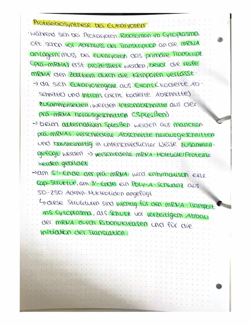 VON DER DNA ZUM PROTEIN
4) Aufbau von Nukleinsäuren
Nukleotide
Einheit aus Pentose (Zucker mit 5 C-Atomen),
Phosphatrest cam c5!), organisch