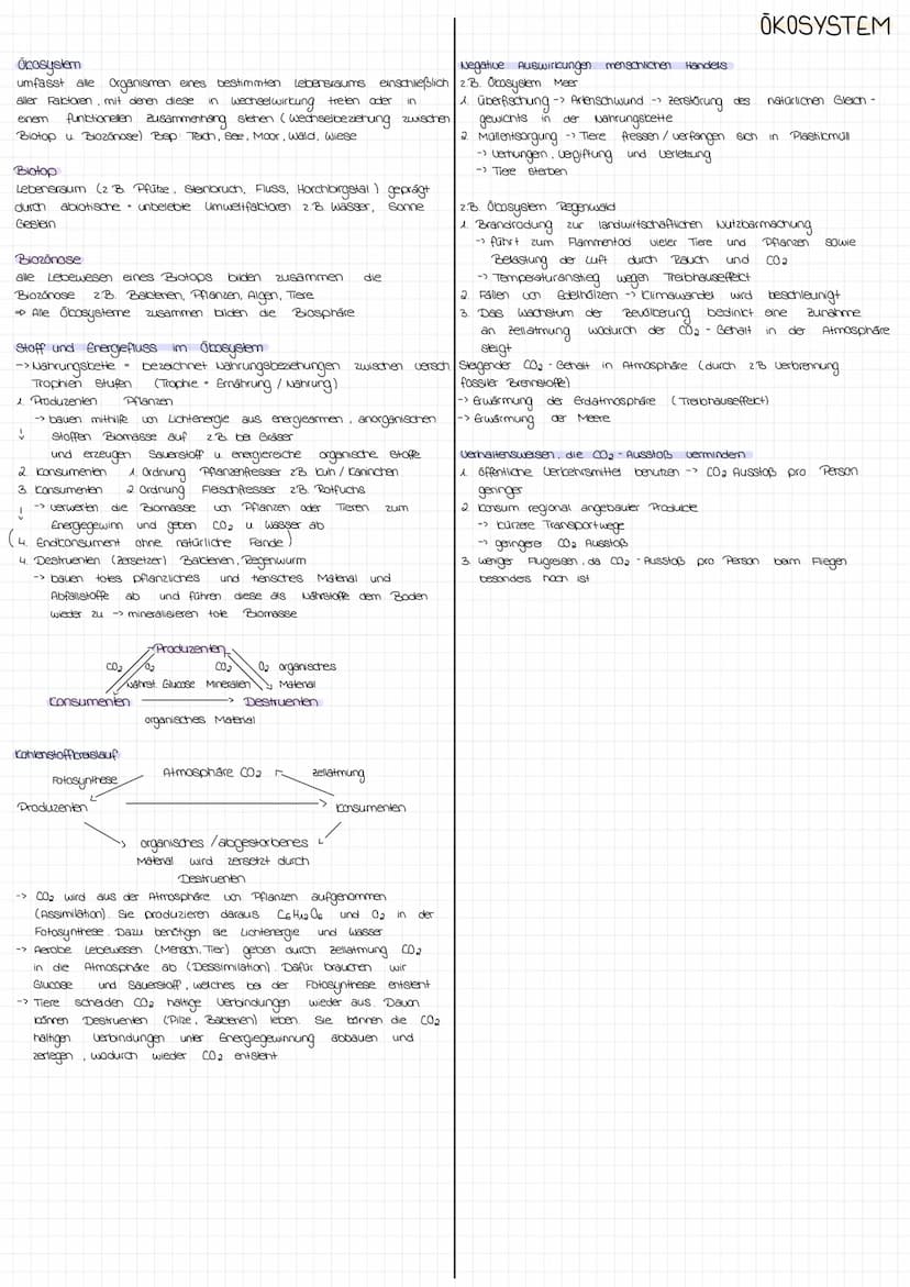 Aufbau einer typischen Landpflanze
Querrschnitt eines Laubblatts
obere
Sproßachse
(10)
Spross Transportwege für
Wurzel
Xylen
(innen)
9
Blatt