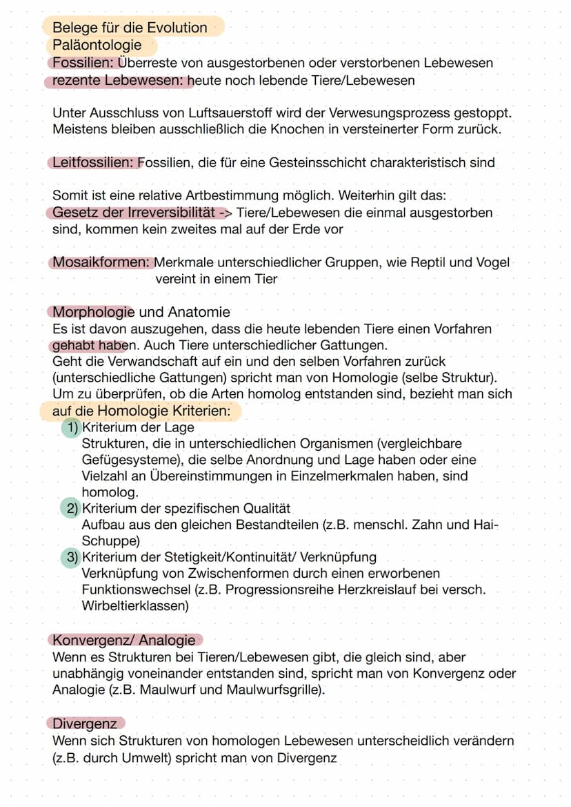 -Evolution- Evolutionstheorien
Lamarck
- Trieb zur Vervollkommnung
- Tiere aus Urmaterie erschaffen
Körperteile, die nicht gebraucht bzw.
ni