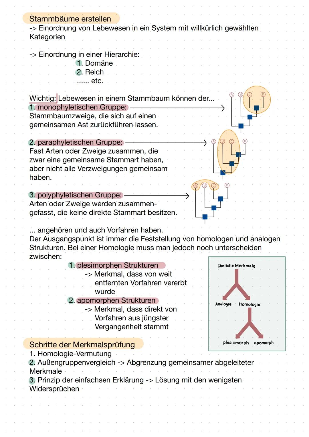 -Evolution- Evolutionstheorien
Lamarck
- Trieb zur Vervollkommnung
- Tiere aus Urmaterie erschaffen
Körperteile, die nicht gebraucht bzw.
ni