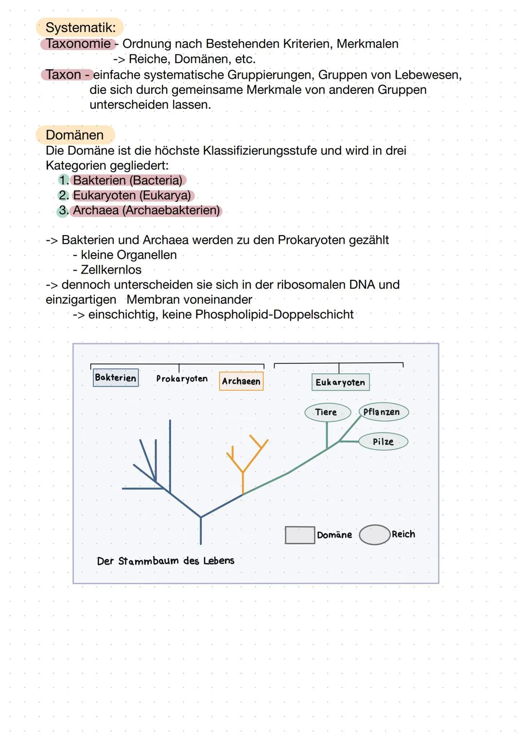 -Evolution- Evolutionstheorien
Lamarck
- Trieb zur Vervollkommnung
- Tiere aus Urmaterie erschaffen
Körperteile, die nicht gebraucht bzw.
ni