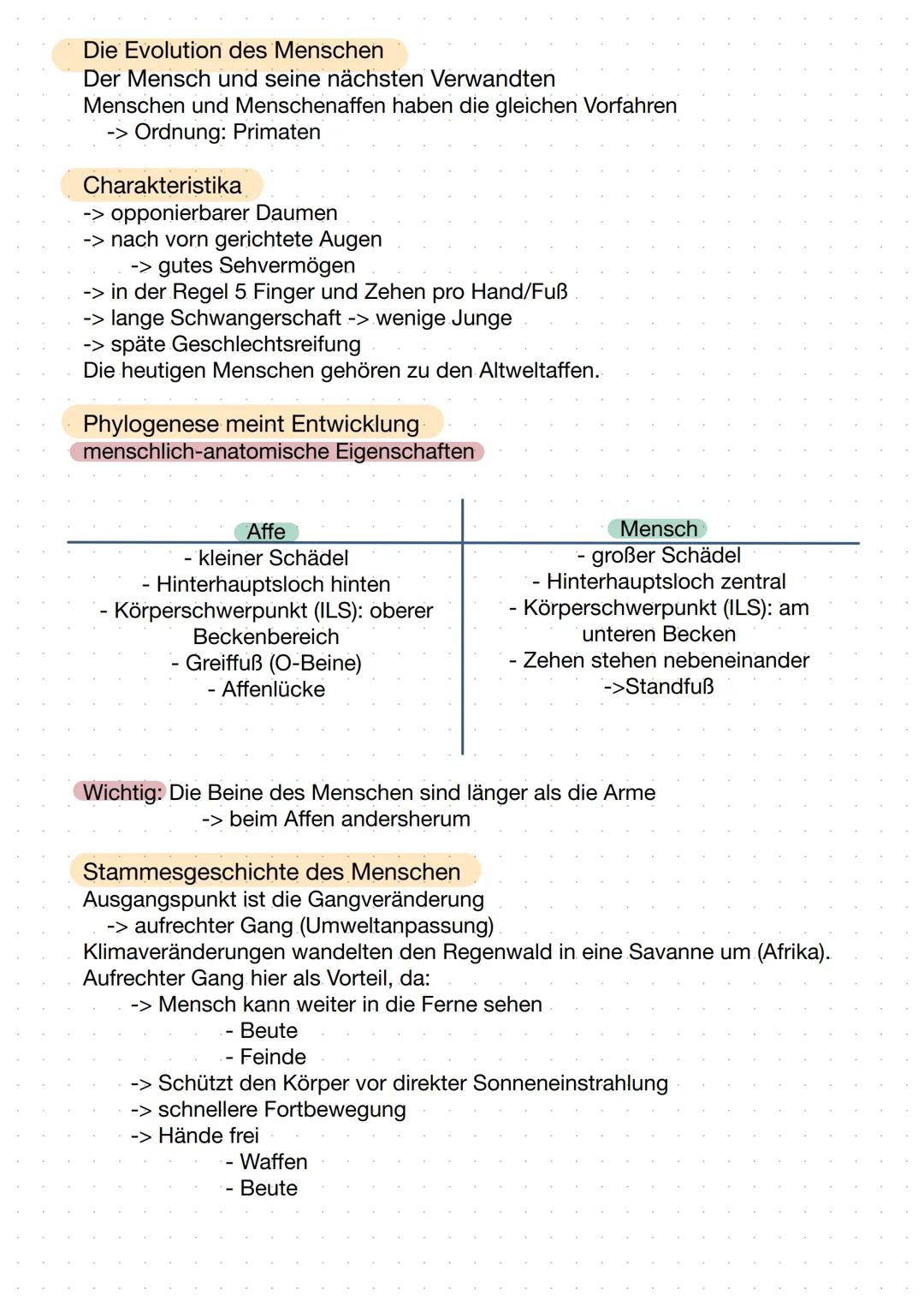 -Evolution- Evolutionstheorien
Lamarck
- Trieb zur Vervollkommnung
- Tiere aus Urmaterie erschaffen
Körperteile, die nicht gebraucht bzw.
ni