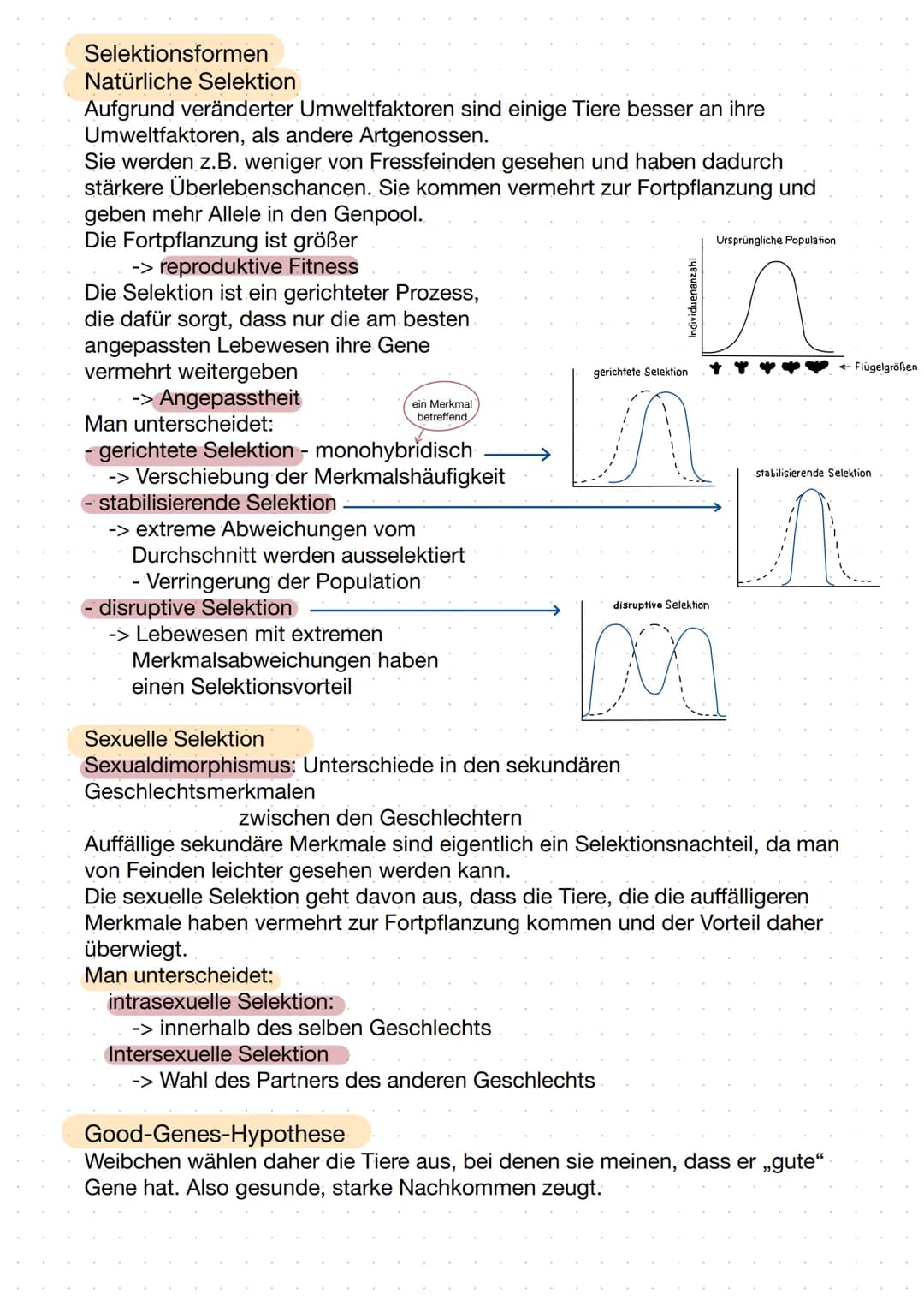 -Evolution- Evolutionstheorien
Lamarck
- Trieb zur Vervollkommnung
- Tiere aus Urmaterie erschaffen
Körperteile, die nicht gebraucht bzw.
ni