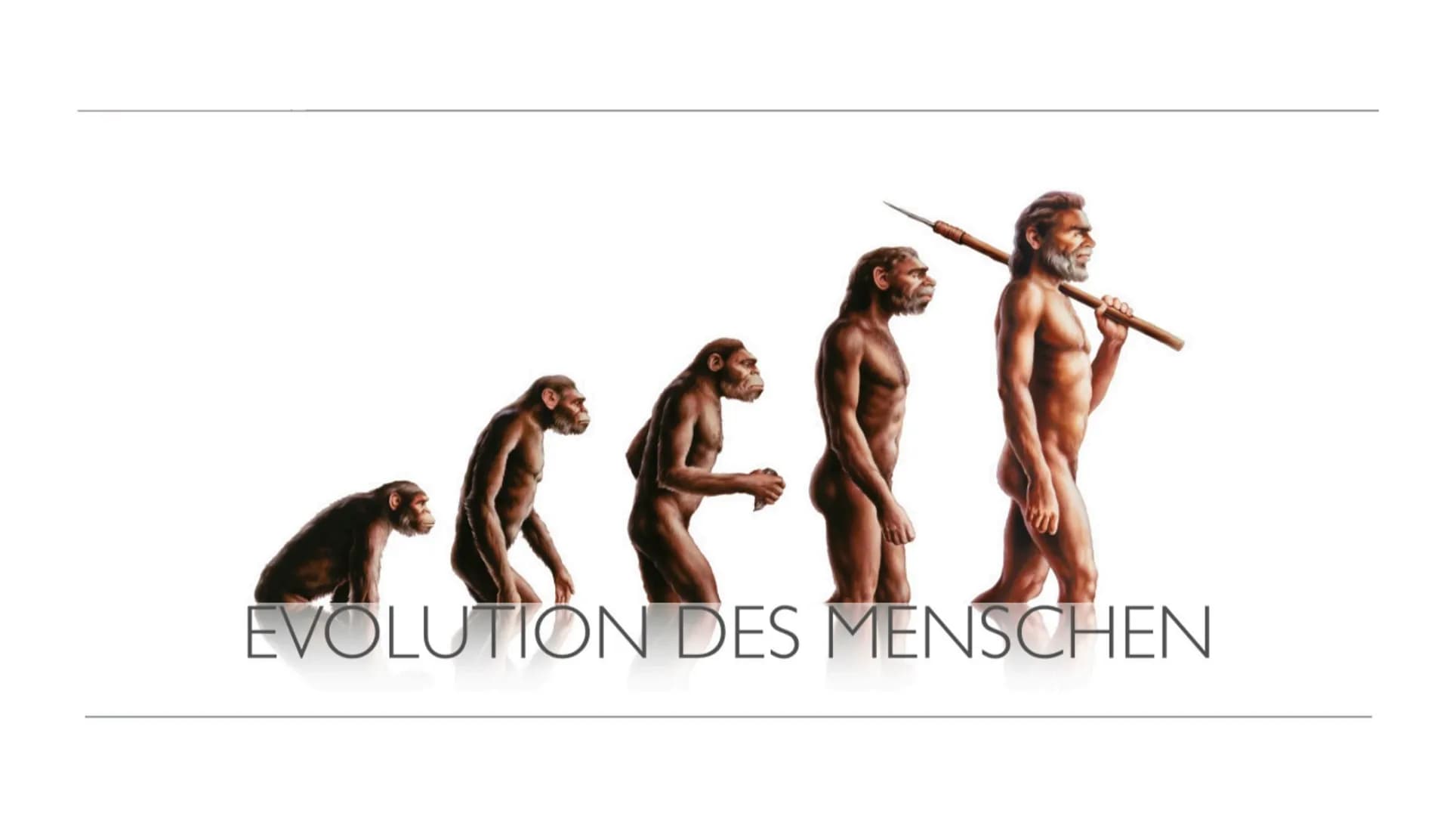 EVOLUTION DES MENSCHEN ●
●
●
●
●
●
Definition: Evolution
Evolutionsfaktoren
GLIEDERUNG
Biologie
Gattung des Vormenschens
Timeline
Karte
Fazi