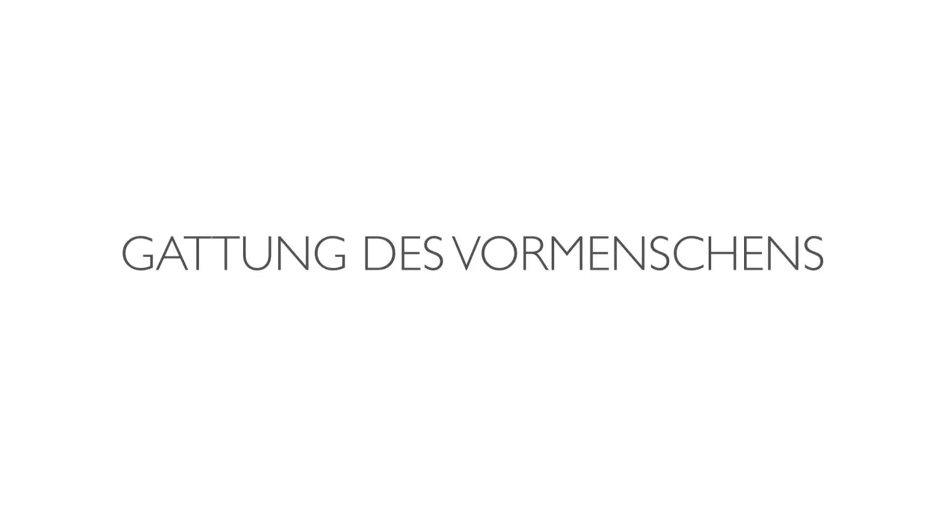 EVOLUTION DES MENSCHEN ●
●
●
●
●
●
Definition: Evolution
Evolutionsfaktoren
GLIEDERUNG
Biologie
Gattung des Vormenschens
Timeline
Karte
Fazi