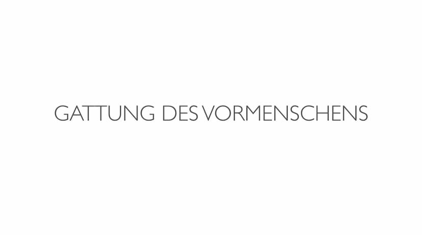 EVOLUTION DES MENSCHEN ●
●
●
●
●
●
Definition: Evolution
Evolutionsfaktoren
GLIEDERUNG
Biologie
Gattung des Vormenschens
Timeline
Karte
Fazi