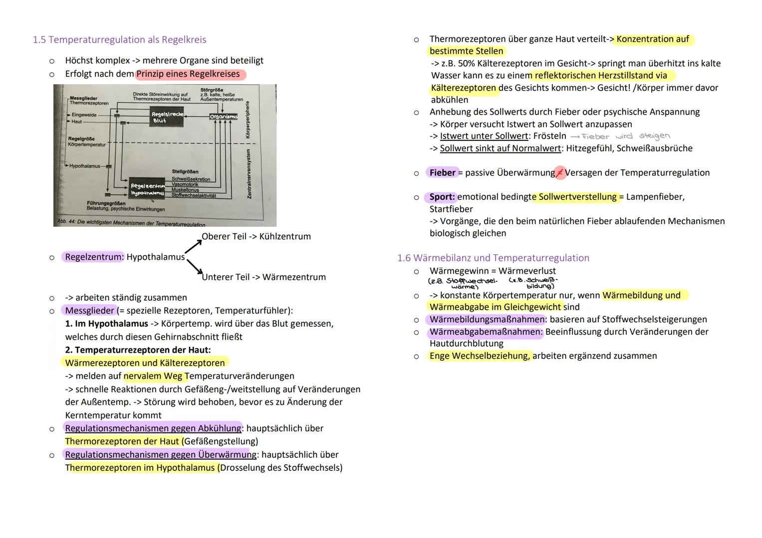 Thermoregulation
O Die Thermoregulation ist aus sportbiologischer Sicht für alle Bereiche von
Bedeutung (Atmung, Kreislauf, ZNS, Muskulatur,