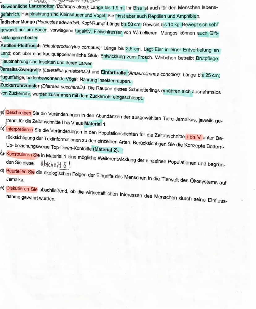 Schutz Riller
r-
stratege
1 Mungos auf Jamaika
Auf seiner zweiten Reise entdeckte Christoph KOLUMBUS 1494 die karibische Insel Jamaika. Mit 