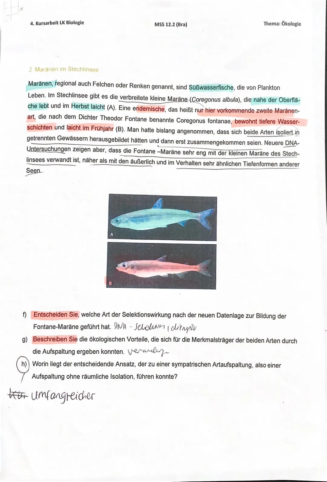 Schutz Riller
r-
stratege
1 Mungos auf Jamaika
Auf seiner zweiten Reise entdeckte Christoph KOLUMBUS 1494 die karibische Insel Jamaika. Mit 