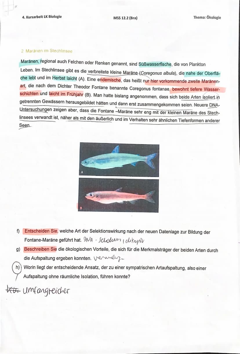 Schutz Riller
r-
stratege
1 Mungos auf Jamaika
Auf seiner zweiten Reise entdeckte Christoph KOLUMBUS 1494 die karibische Insel Jamaika. Mit 