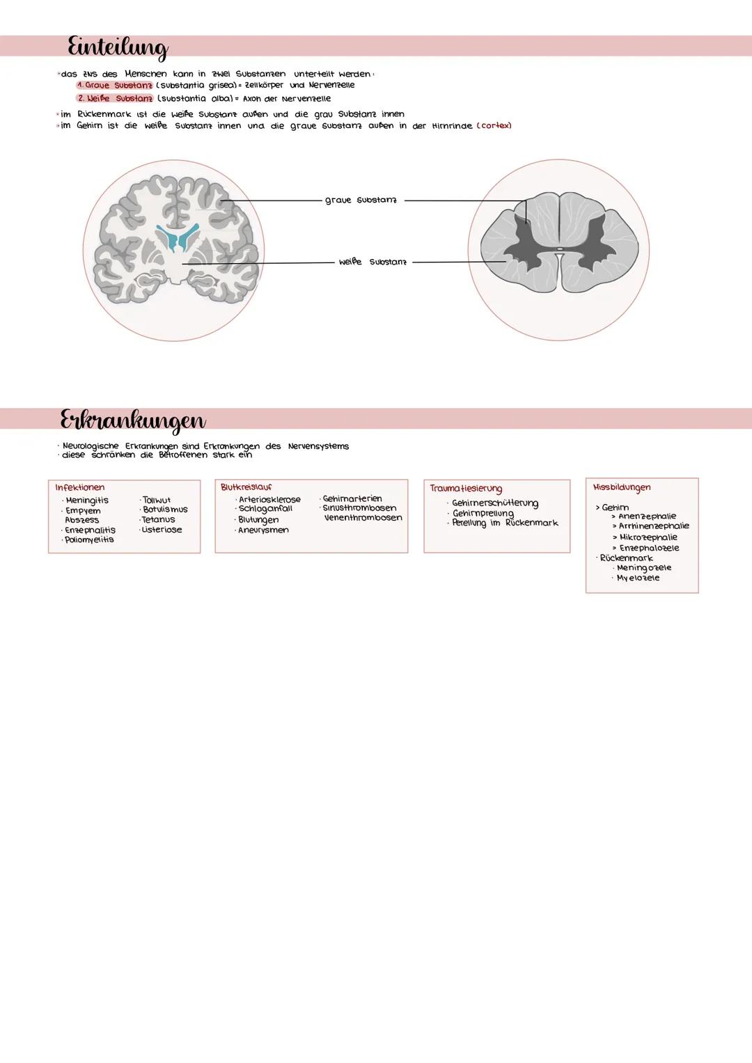 # Zentrales Nervensystem

- das te zentrale Nervensystem (kura: 2NS, 2NS, engi central Nervous System)
- des Menschen setzt sich aus dem Geh