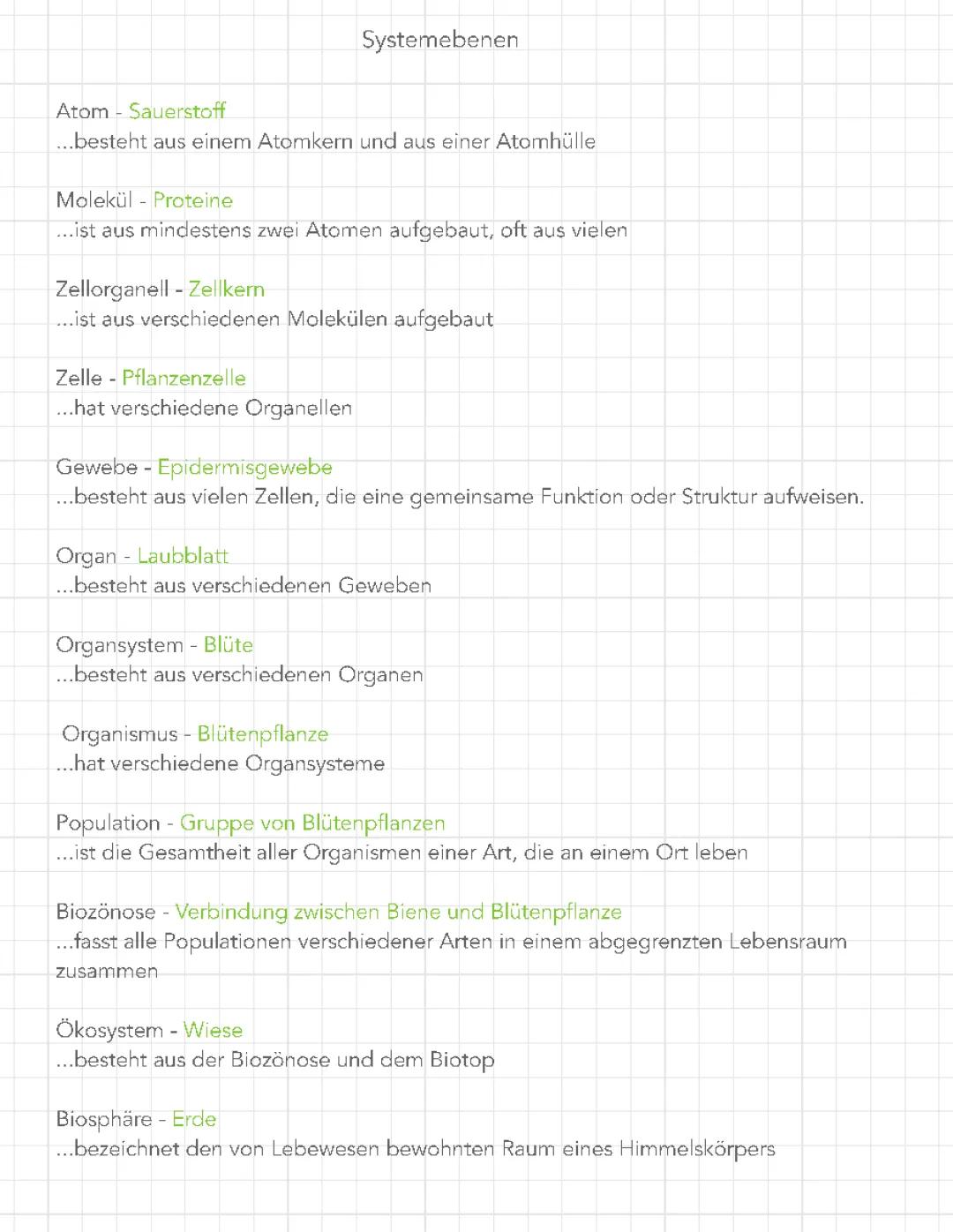 Systemebenen, Basiskonzept, Zellen/-organellen und Biomembran