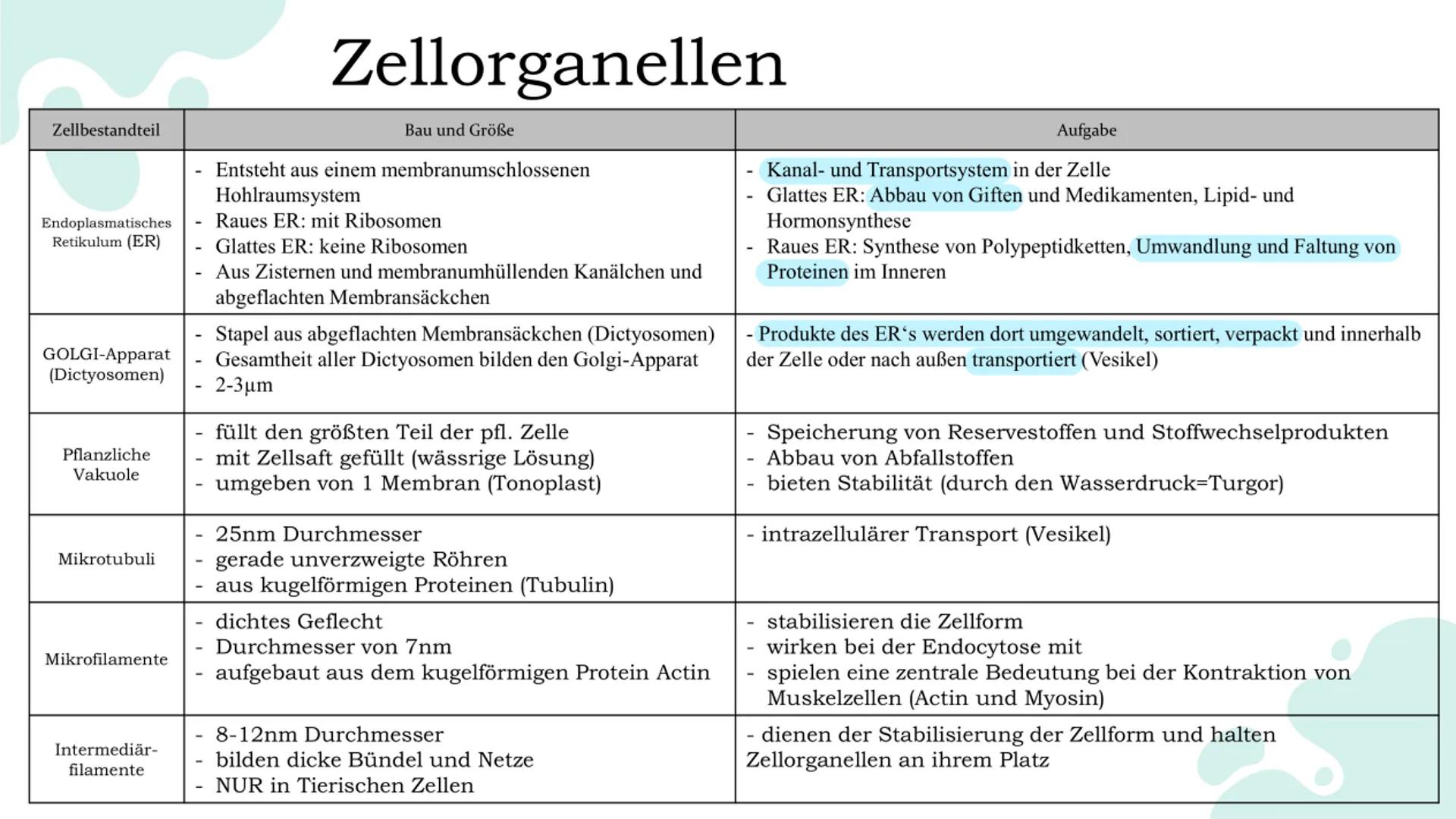 Systemebenen
Atom - Sauerstoff
...besteht aus einem Atomkern und aus einer Atomhülle
Molekül - Proteine
...ist aus mindestens zwei Atomen au