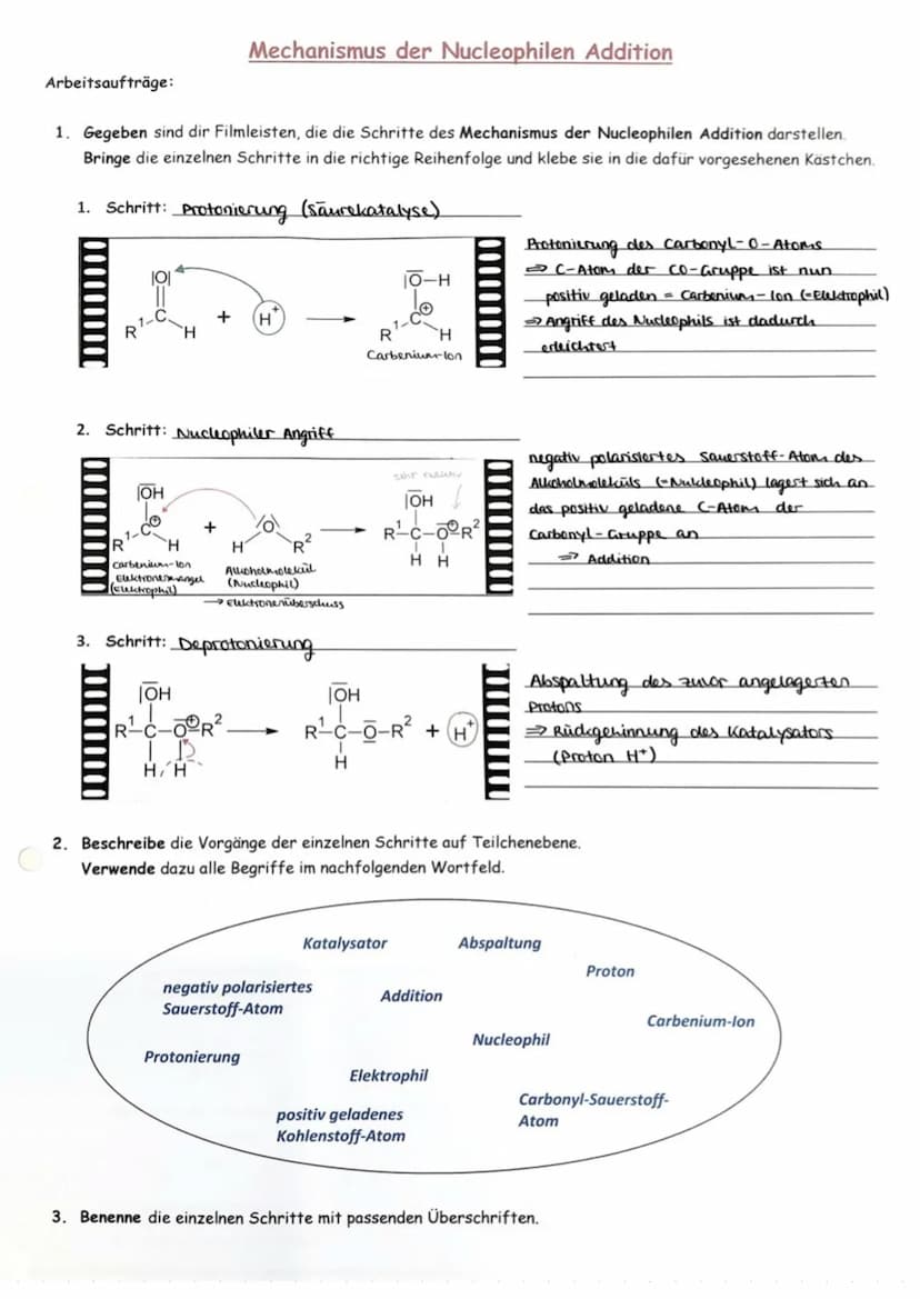 4) Aldehyde (Alkanale).
M3 C-C
Ethanal
Ethanal
1.1 Homologereine:
Butanal
11
Methanal H-C
(Formaldehyd)
.81
exanal
Pentanal
H
HOH
Aldehydrox