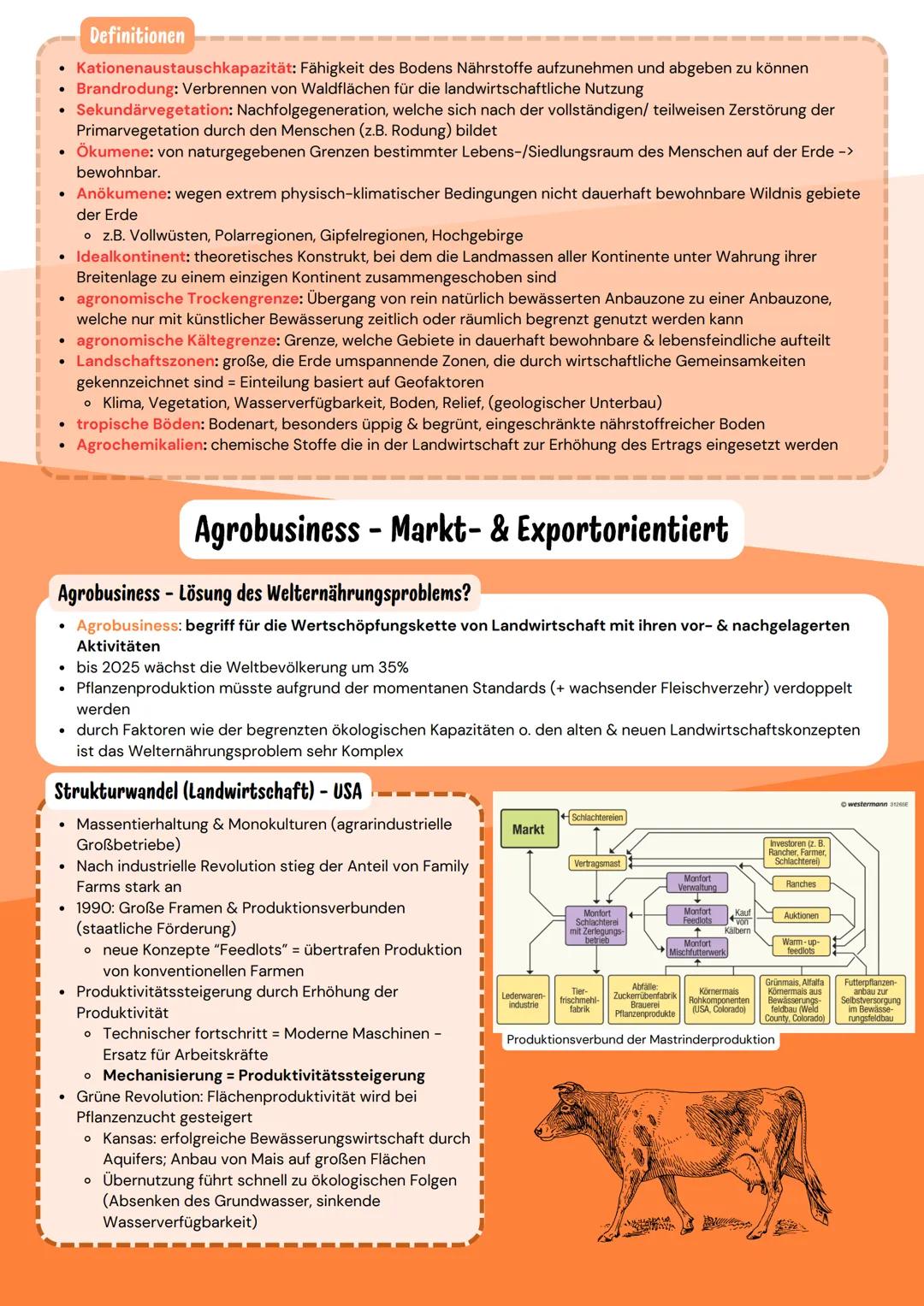 Lokalisierung
Generelles
Von Groß nach Klein / je nach Aufgabe einbringen
• Halbkugel
• Lage (Kontinent - Land); evtl. Hauptstadt & Fläche
•