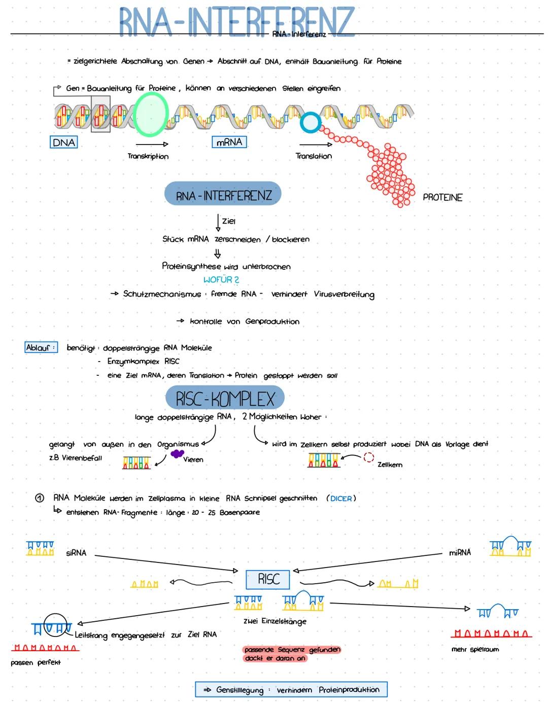 # RNA-INTERFERENZ
RNA-Interferenz

= zielgerichtete Abschaltung von Genen Abschnitt auf DNA, enthält Bauanleitung für Proteine

Gen Bauanlei