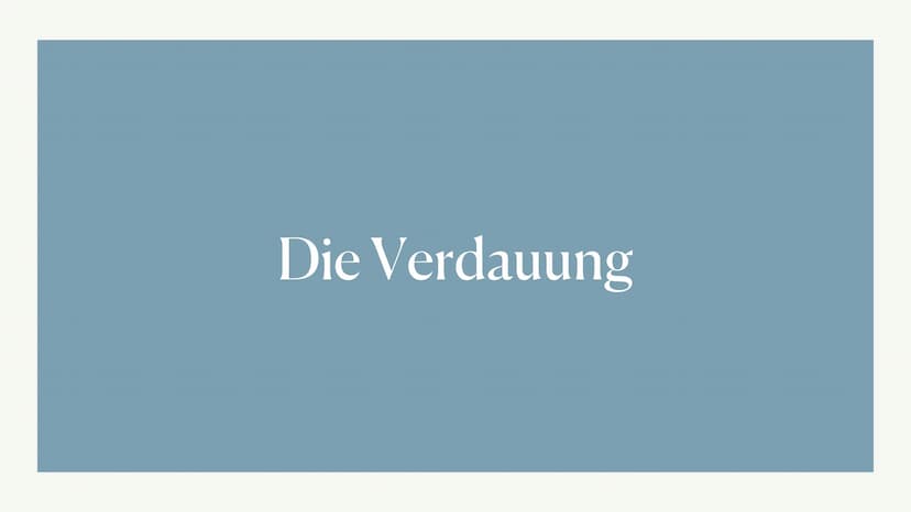 Kohlenhydrate
20.10.2021 Von: Lilli, Jaqueline und Asmen Gliederung
1. Allgemeine Information
2. Kohlenhydrate in der Chemie
3. Hauptsächlic