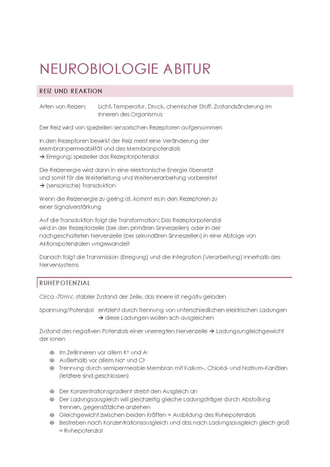 Neurobiologie - Abitur