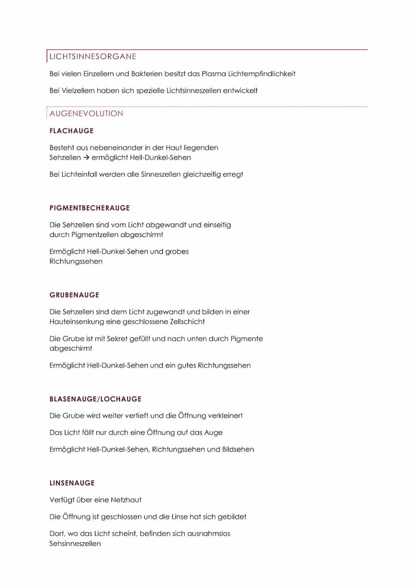 NEUROBIOLOGIE ABITUR
REIZ UND REAKTION
Arten von Reizen:
Licht, Temperatur, Druck, chemischer Stoff, Zustandsänderung im
Inneren des Organis