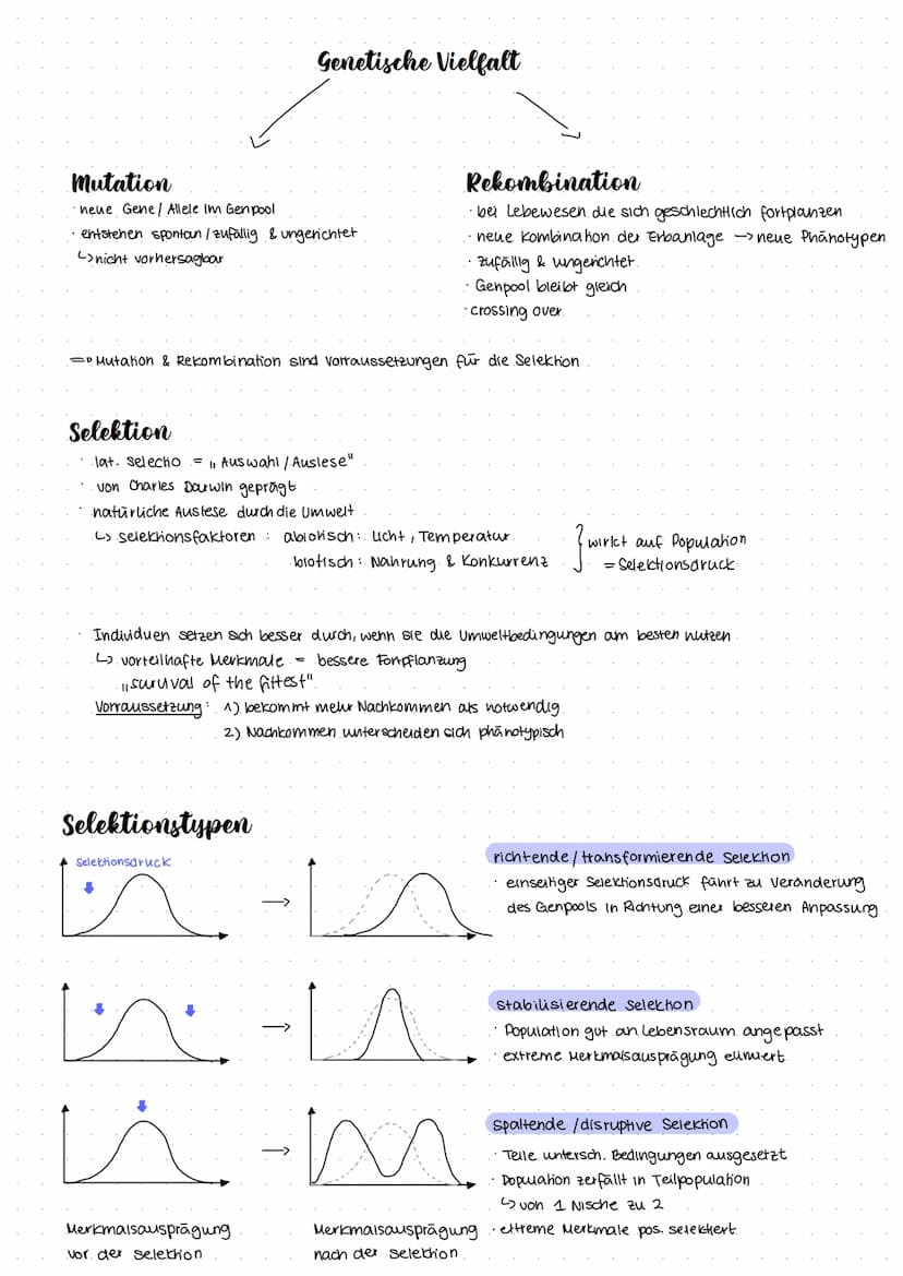Evolution
Grundkurs Evoluhonstheorien
Charle Darwin's Evolutionstheone
Jean Bapiste de Lamarck's Evolutionstheorie.
Vergleich der beiden The