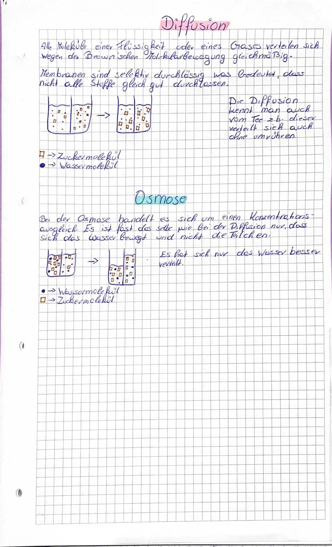 Diffusion und Osmose 