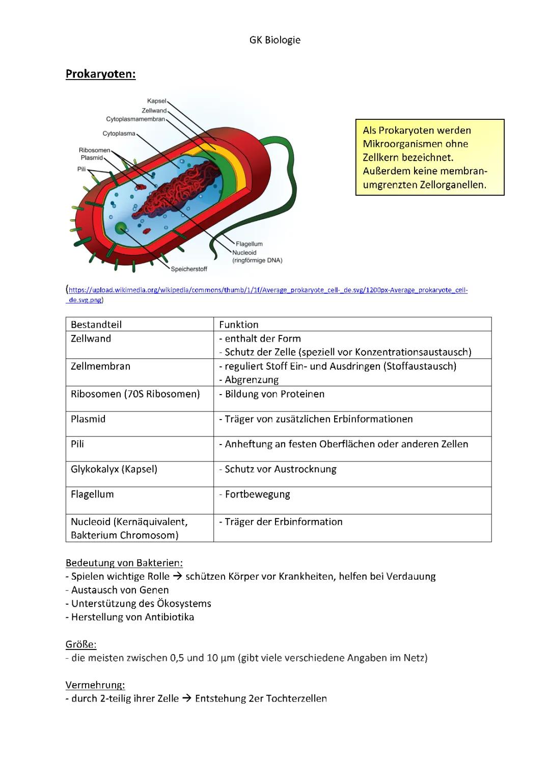Prokaryoten