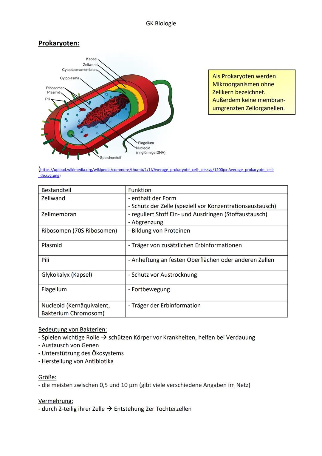Prokaryoten:
Pili
Ribosomen.
Plasmid
Cytoplasma.
de.svg.png)
Cytoplasmamembran
Bestandteil
Zellwand
Zellmembran
Kapsel
Zellwand
Plasmid
Pili