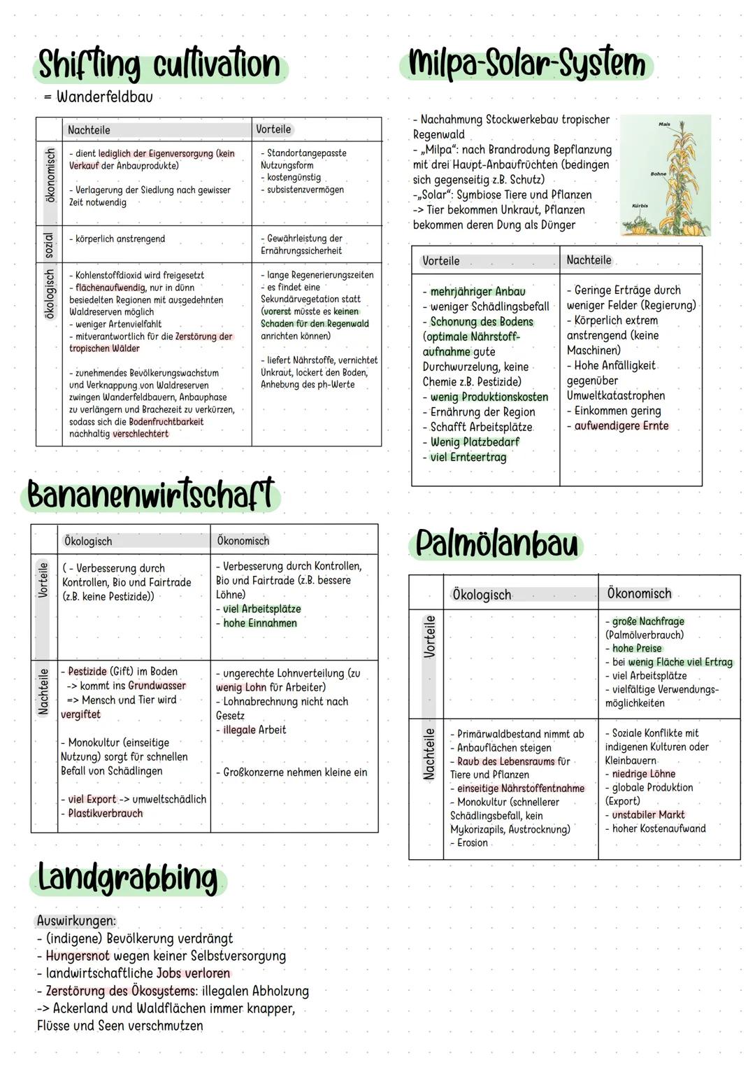 Shifting cultivation
= Wanderfeldbau
ökonomisch
ökologisch sozial
Vorteile
Nachteile
- dient lediglich der Eigenversorgung (kein
Verkauf der