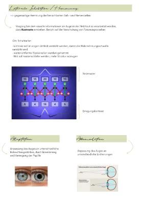 Know Laterale Inhibition thumbnail