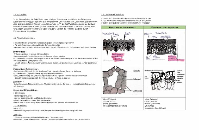 Abitur Zusammenfassung: Ökologie
Themen:
1. Ökologische Betrachtungsebenen und Fachbegriffe:
1.1. Autökologie/Synökologie
1.2. Umweltfaktore