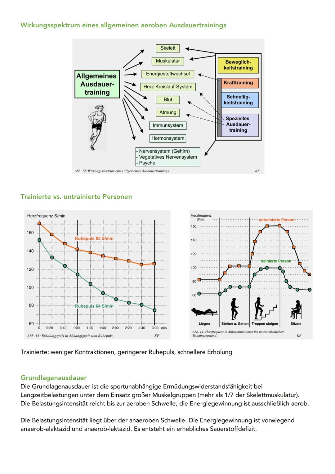 Energiebereitstellung im Sport einfach erklärt - Aerobe und Anaerobe Energiegewinnung