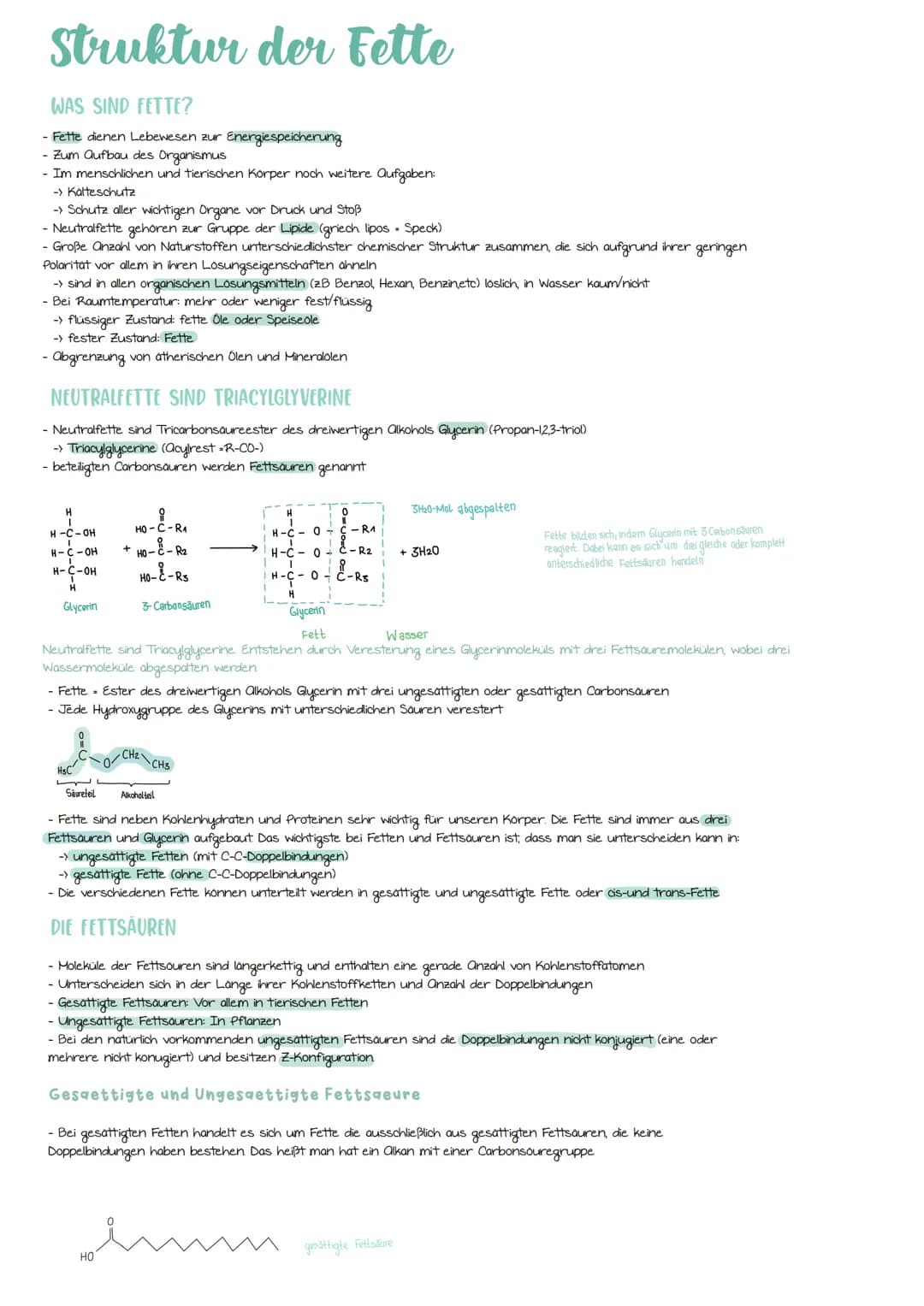 Struktur der Fette
WAS SIND FETTE?
- Fette dienen Lebewesen zur Energiespeicherung
- Zum Aufbau des Organismus
- Im menschlichen und tierisc