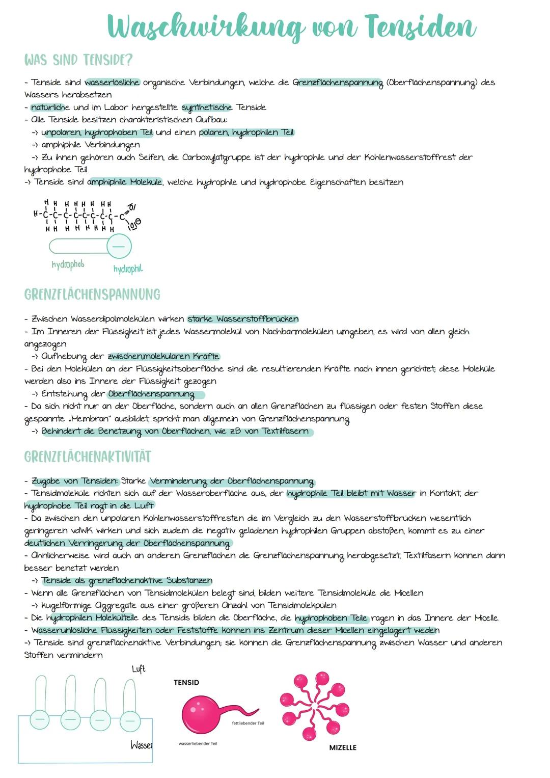 Struktur der Fette
WAS SIND FETTE?
- Fette dienen Lebewesen zur Energiespeicherung
- Zum Aufbau des Organismus
- Im menschlichen und tierisc