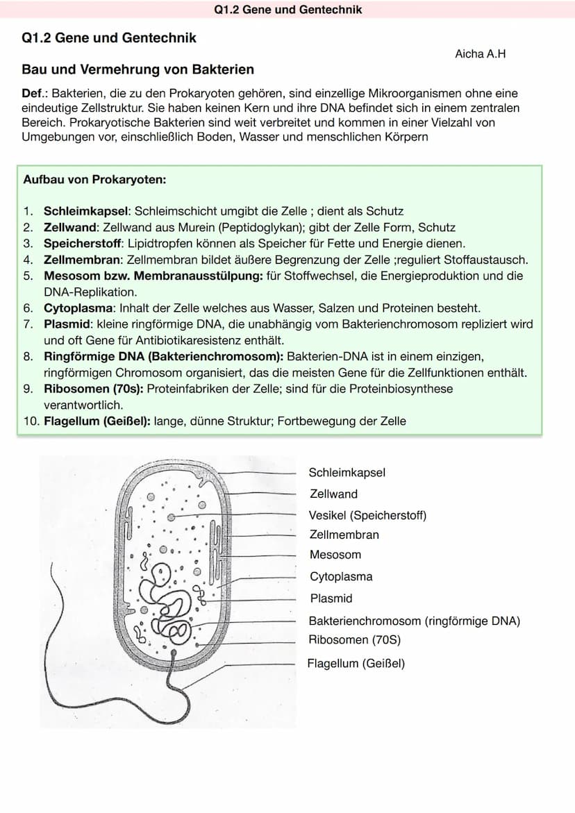 Q1.2 Gene und Gentechnik
Aicha A.H Q1.2 Gene und Gentechnik
Aufbau von Prokaryoten:
Q1.2 Gene und Gentechnik
Bau und Vermehrung von Bakterie