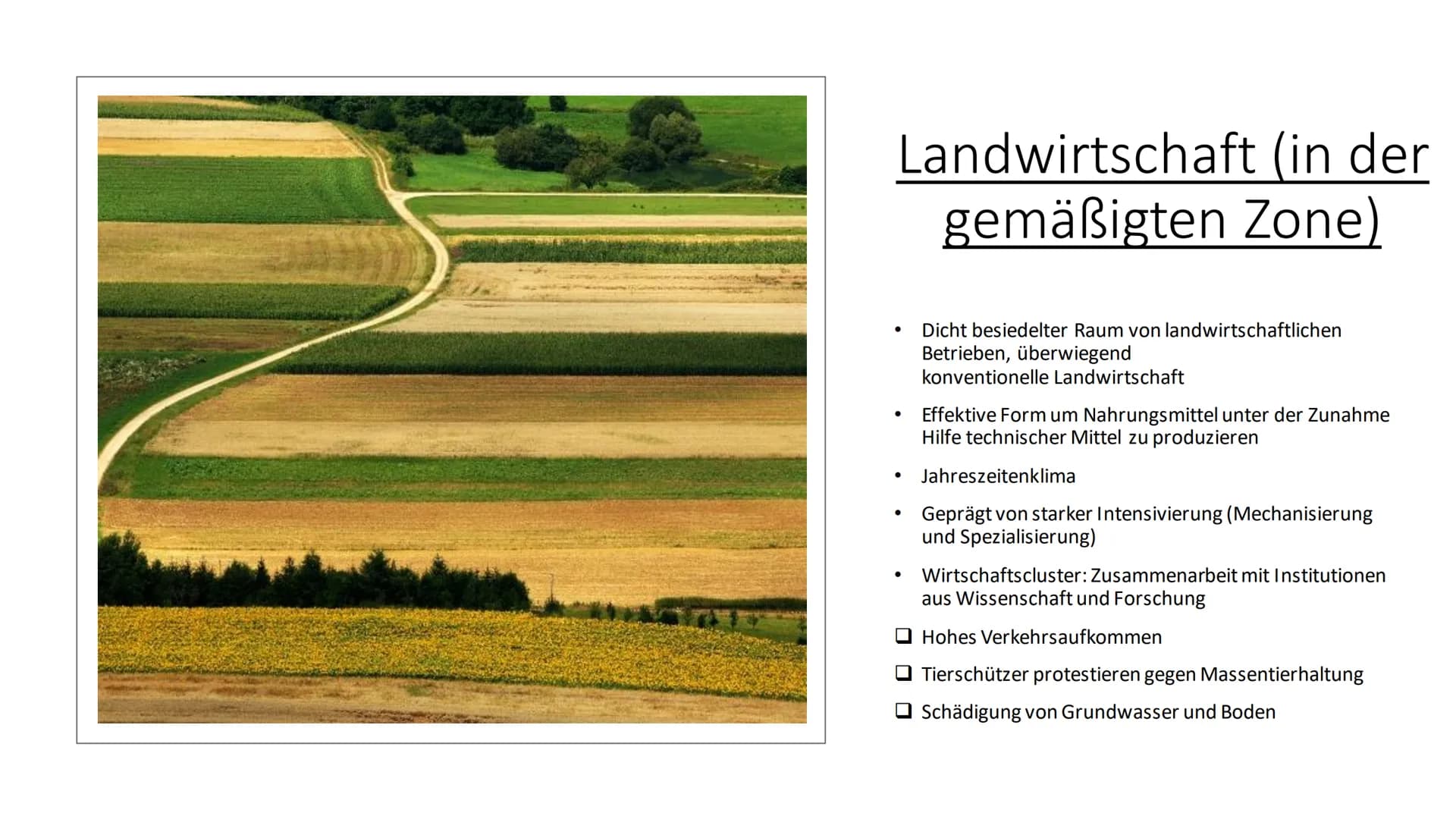 Landwirtschaft
Erdkunde-LK Inhaltsverzeichnis
●
Fachbegriffe, Klimazonen
• Passende Lokalisierung
• Landwirtschaft (Tropen und gemäßigten Zo