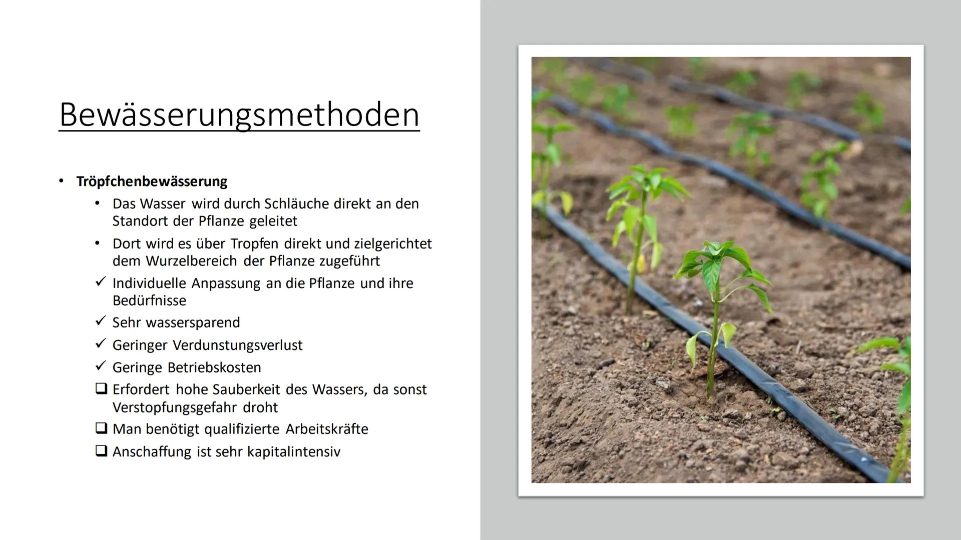 Landwirtschaft
Erdkunde-LK Inhaltsverzeichnis
●
Fachbegriffe, Klimazonen
• Passende Lokalisierung
• Landwirtschaft (Tropen und gemäßigten Zo