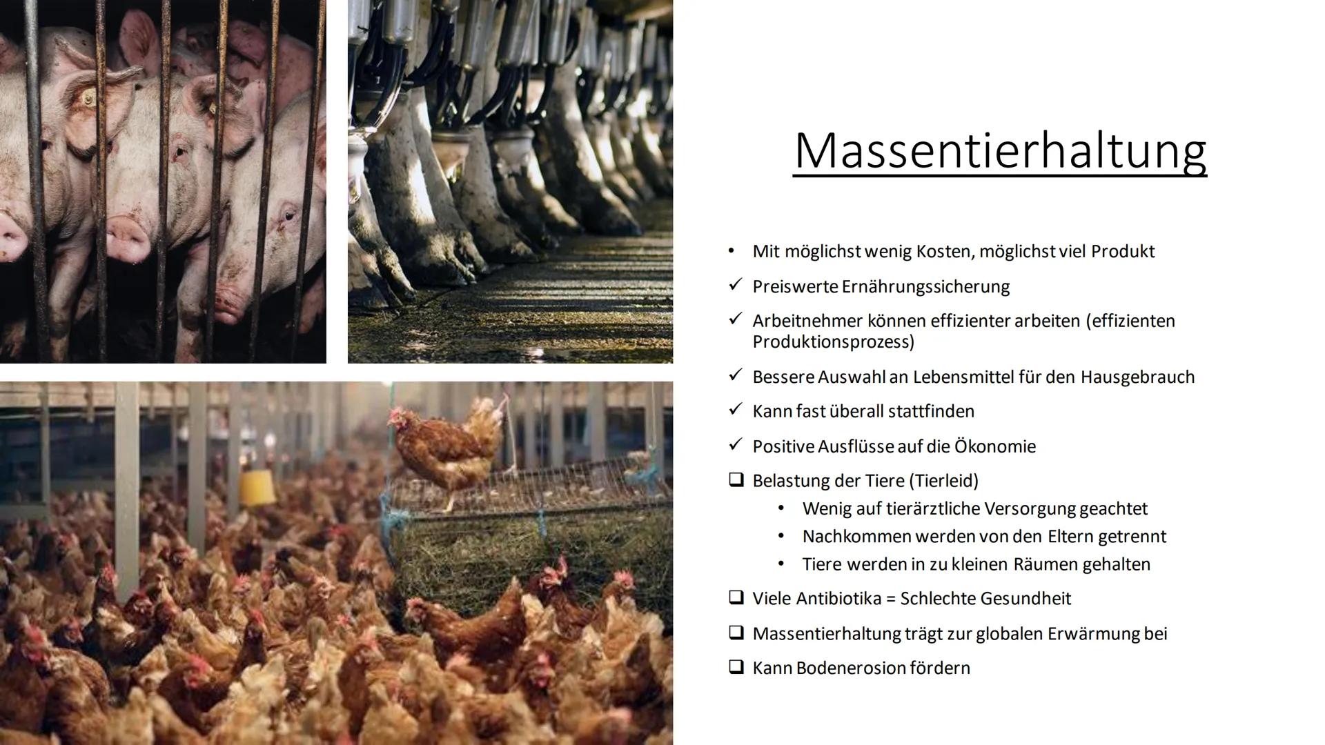 Landwirtschaft
Erdkunde-LK Inhaltsverzeichnis
●
Fachbegriffe, Klimazonen
• Passende Lokalisierung
• Landwirtschaft (Tropen und gemäßigten Zo